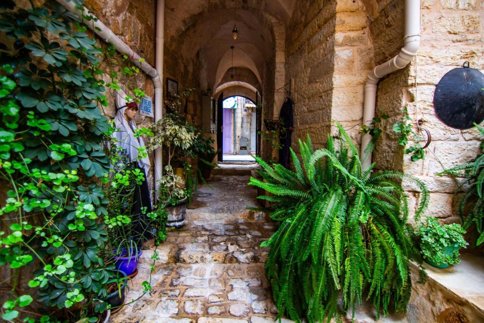 Bread House Daire Beytüllahim Dış mekan fotoğraf